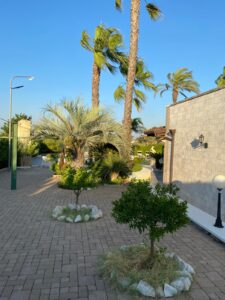 Villa San Vito dei Normanni - LOFT 50