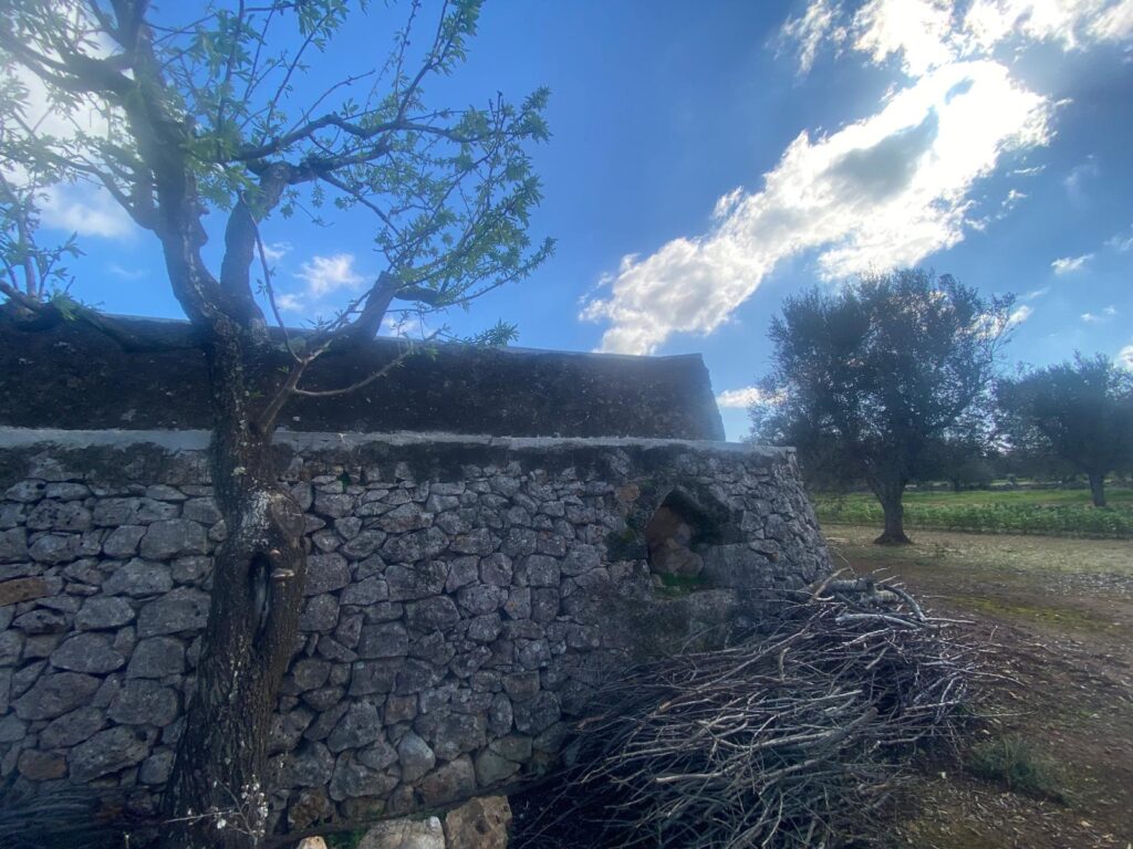 Trullo in vendita in contrada Veneri
