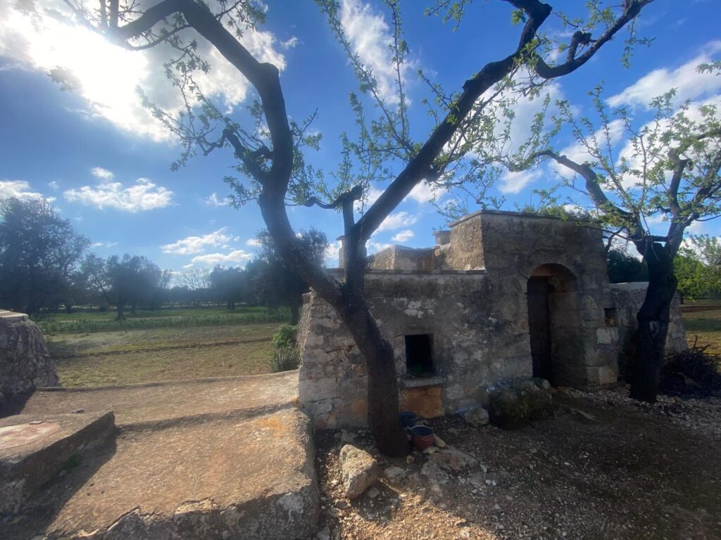 Trullo in vendita in contrada Veneri